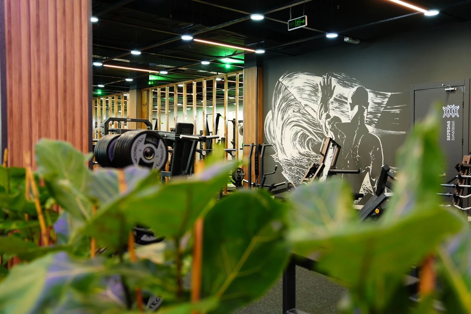 PIXL Fitness-ის სავარჯიშო სივრცე